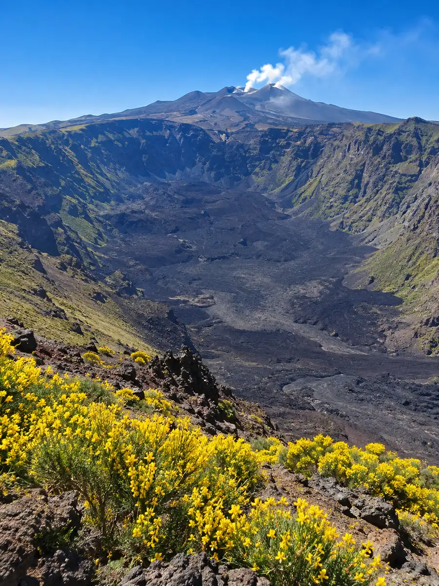 The vast horseshoe of the Valle del Bove on Etna, dark lava flows below and yellow broom in the foreground